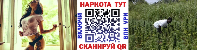 Купить закладку ГАШИШ  А ПВП  Псилоцибиновые грибы  МЕФ  Аксай