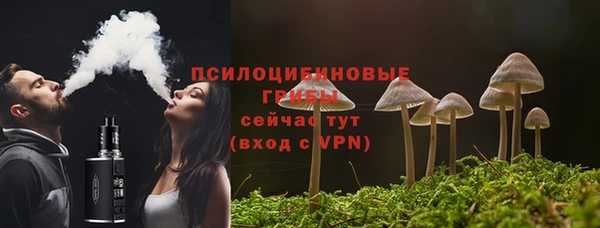 герыч Ельня