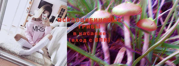 герыч Ельня