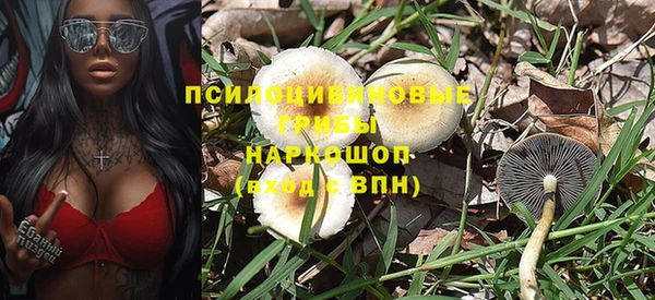 гидропоника Елизово