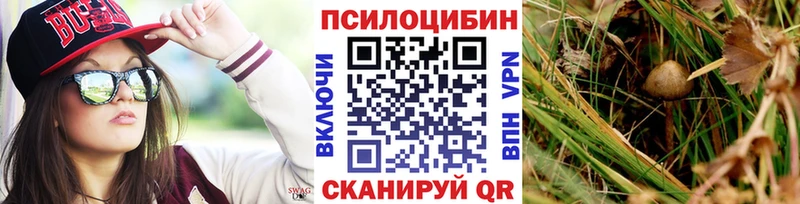 Галлюциногенные грибы Psilocybine cubensis  Купить где  Аксай 